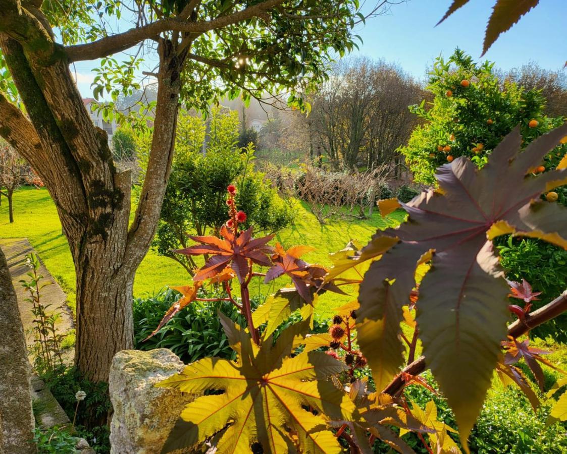 Hostal Boavista Costoia Εξωτερικό φωτογραφία